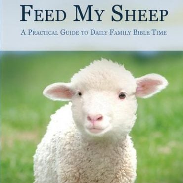 What Should I Feed My Sheep Daily? 